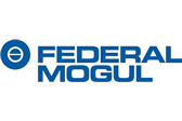 federal mogul BEARING SET CUP AND CONE T - HD200
